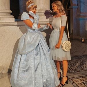 LC Lauren Conrad Cinderella Tulle Skirt